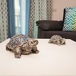 Rocha 501 By Atlantichotels - Al Apartmán